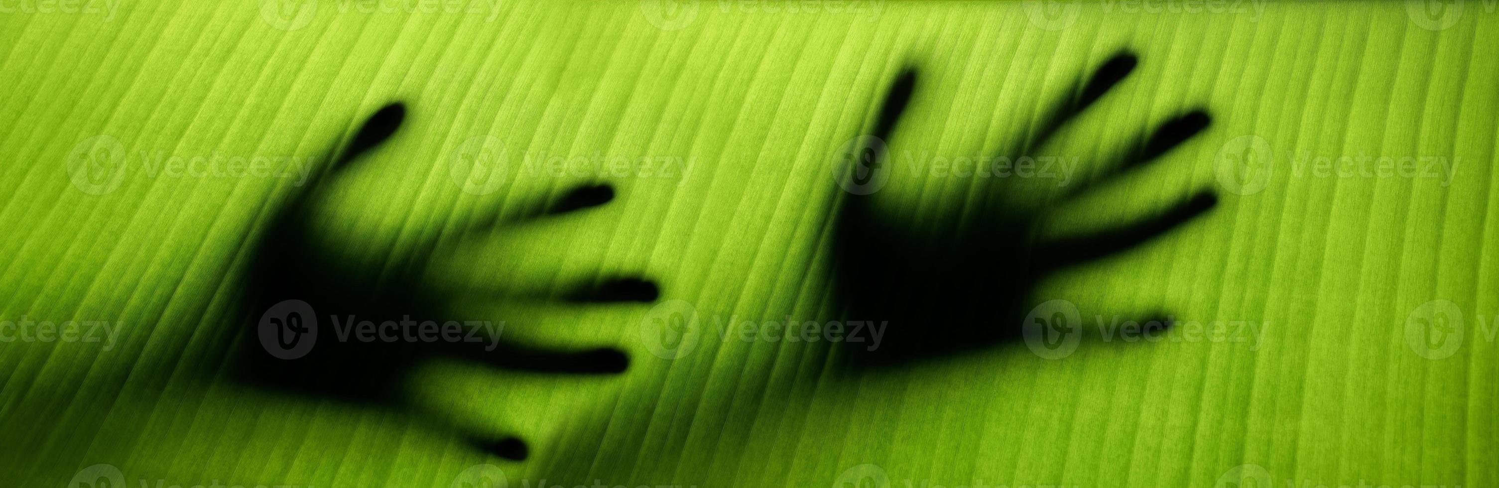 Sustainable Lifestyle Concept. World Environment Day. Harmony and Close to Nature. Green Leaf with Backlit technic as Hands Touching a Leaf Surface photo