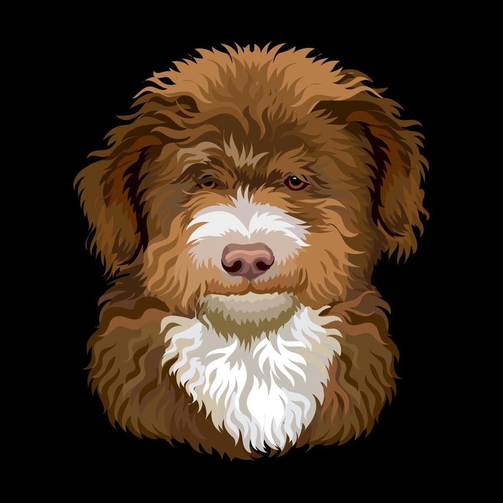 Portrait of Barbet French water dog close up vector illustration