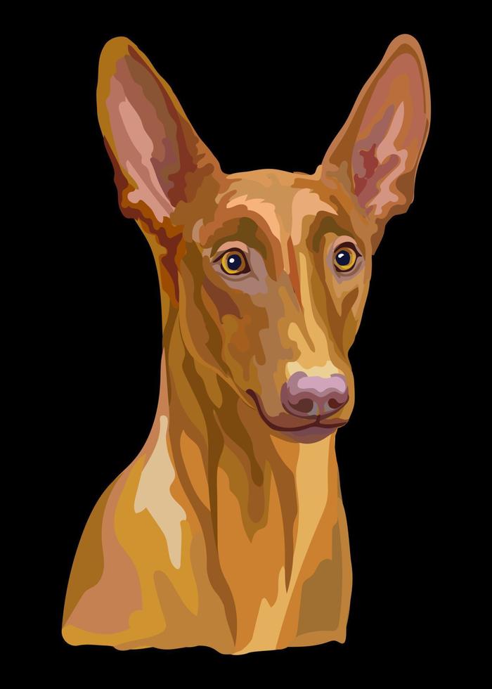 retrato, de, faraón, perro, primer plano, vector, ilustración vector