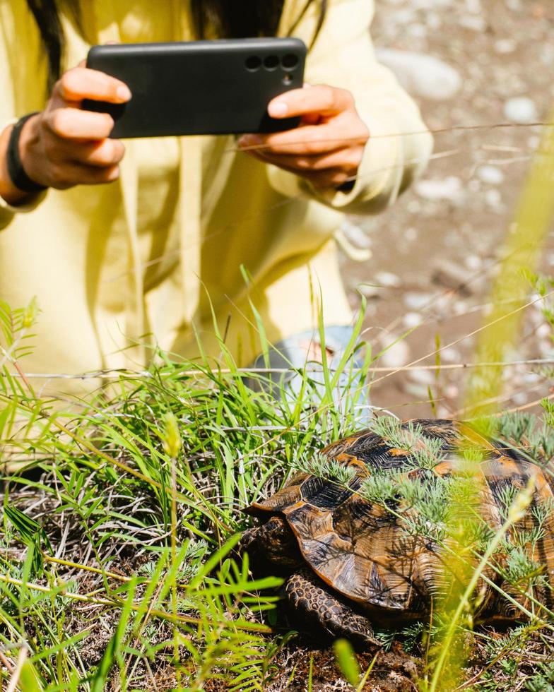 mujer turista toma foto de tortuga