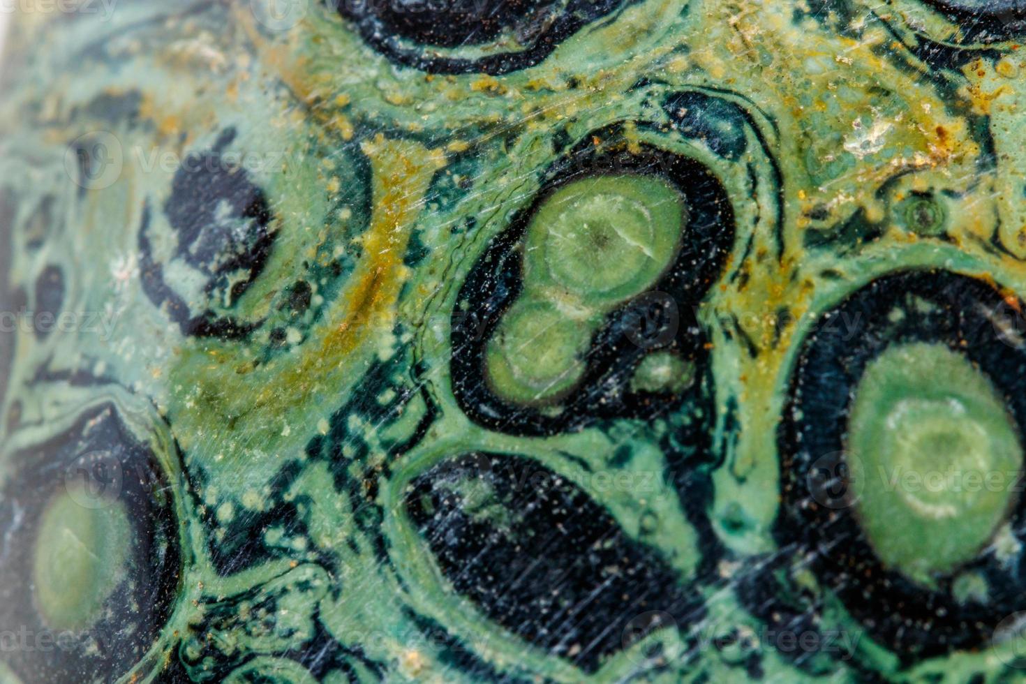 Macro mineral stone jasper kambaba on a white background photo