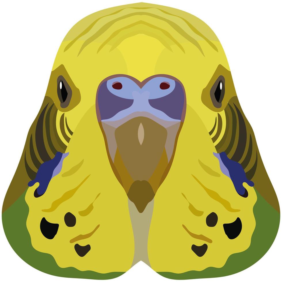 Budgerigar. An illustration of the muzzle of a small domestic bird is depicted. A bright portrait is depicted on a white background. Vector graphics. Animal logo