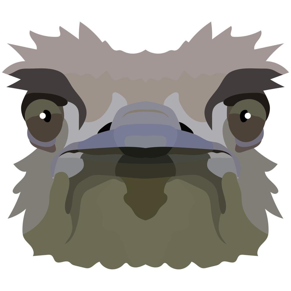 Ostrich head. An illustration of the muzzle of a large bird is depicted. A bright portrait is depicted on a white background. Vector graphics. Animal logo