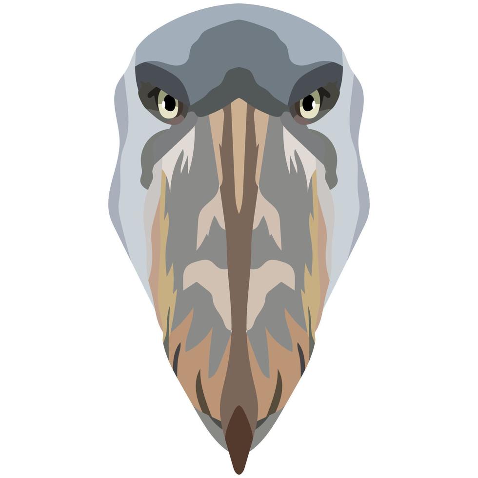 Head of a shoebill. An illustration of the face of a large bird is depicted. A bright portrait is depicted on a white background. Vector graphics. Animal logo