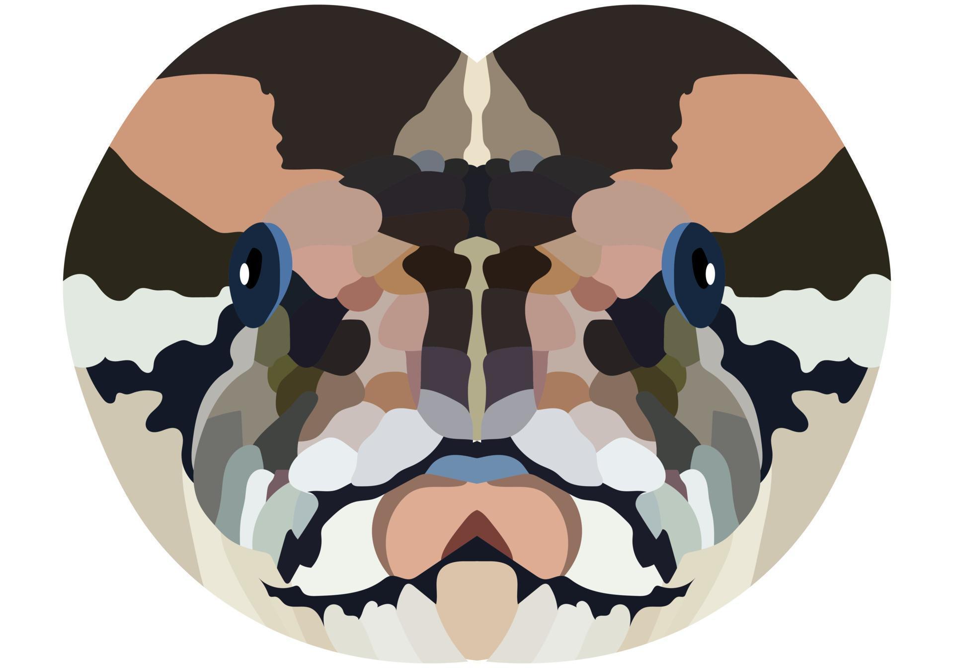 Python head. An illustration of the face of a large snake is depicted ...