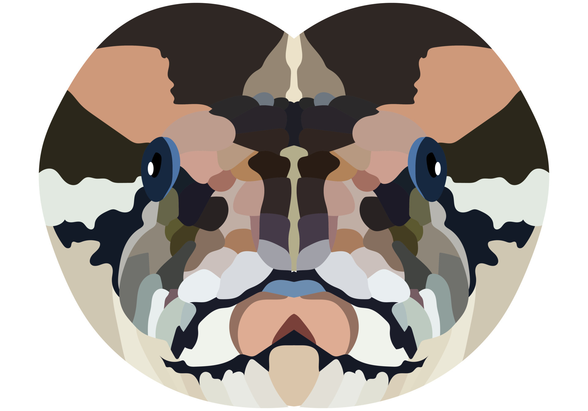 Python head. An illustration of the face of a large snake is depicted ...