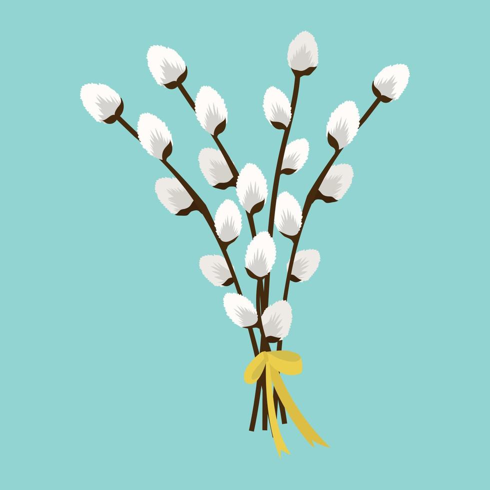 Bouquet of pussy willow branches vector