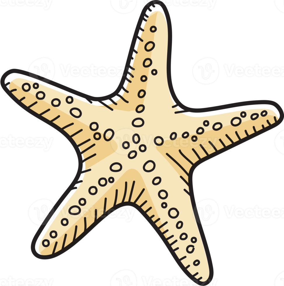 starfish symbol icon png