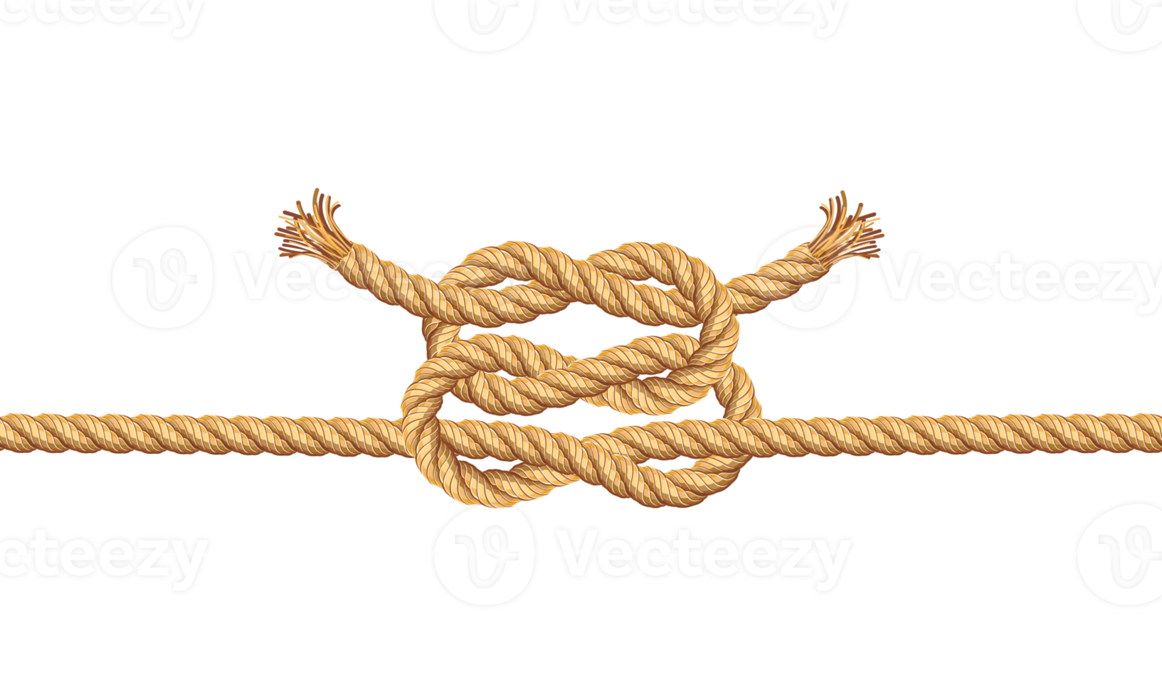 Rope knots line 19049682 PNG