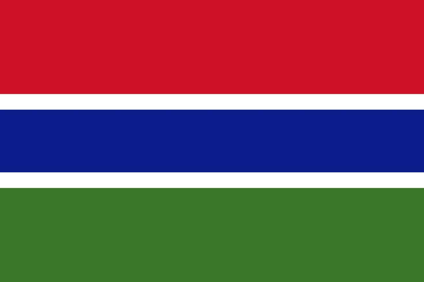 Gambia flag simple illustration for independence day or election vector