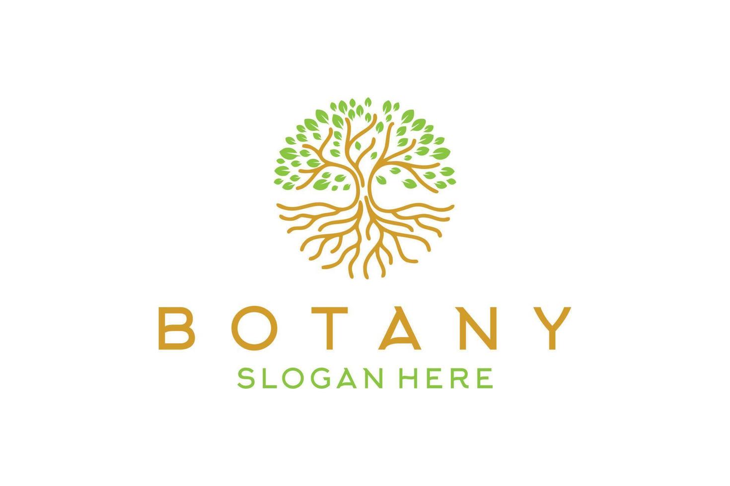 Botany ecology root tree logo design vector