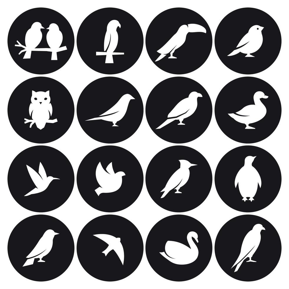 conjunto de iconos de pájaros. blanco sobre un fondo negro vector