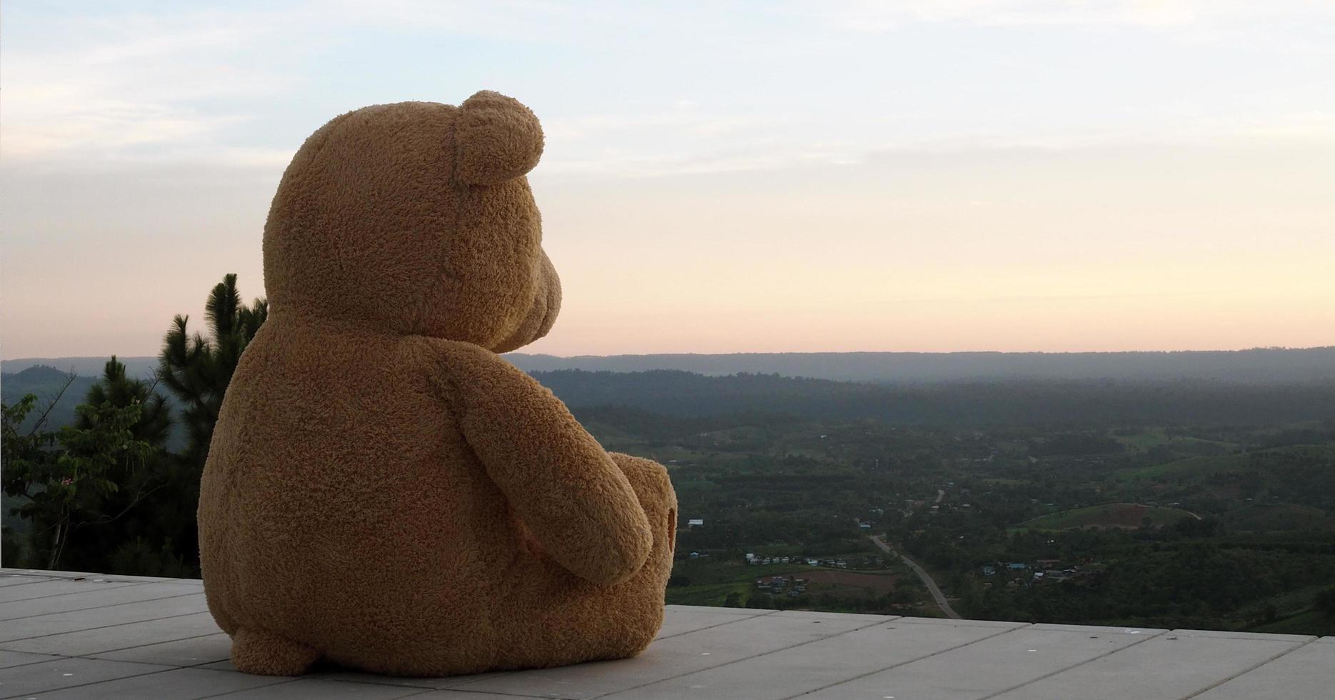 oso de peluche sentado solo en un balcón de madera. lucir triste y solo foto