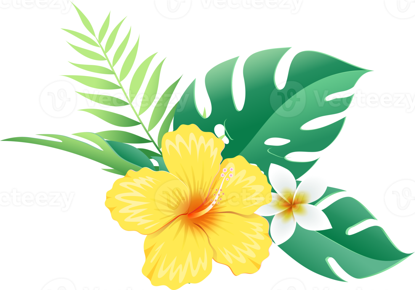 Hibiscus flowers on tropical leaf png