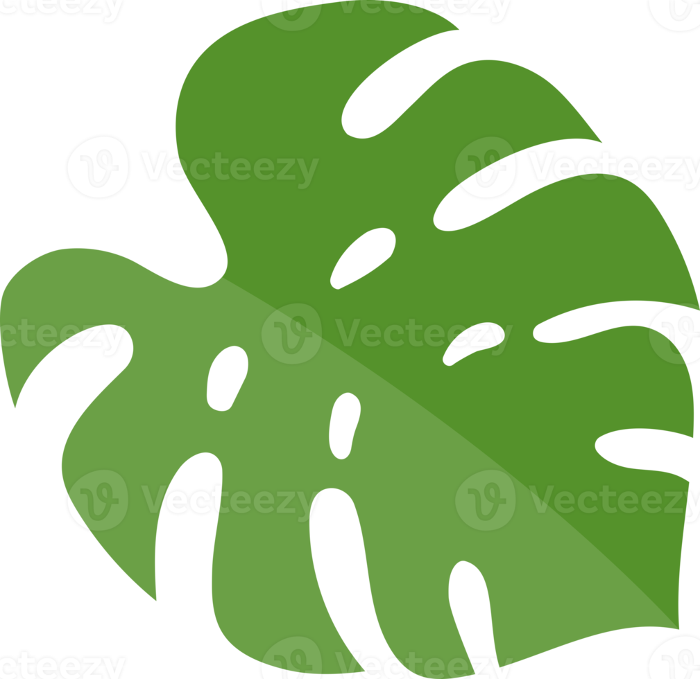 monstera blad groen kleur png