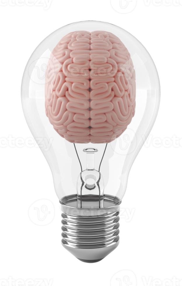 Brain inside light bulb with clipping path 3D illustration concept. 3D rendering png