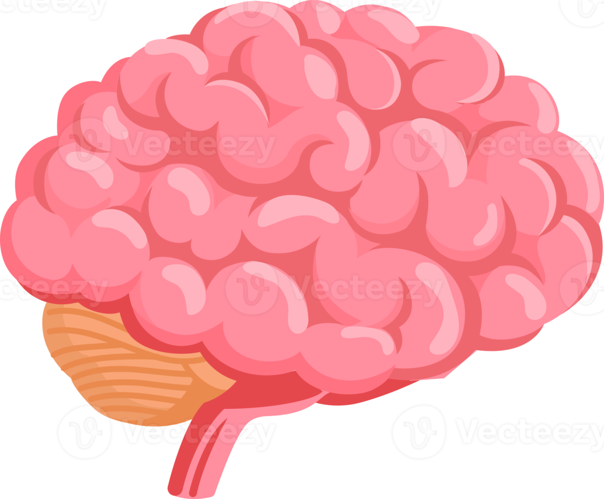 human brain symbol png