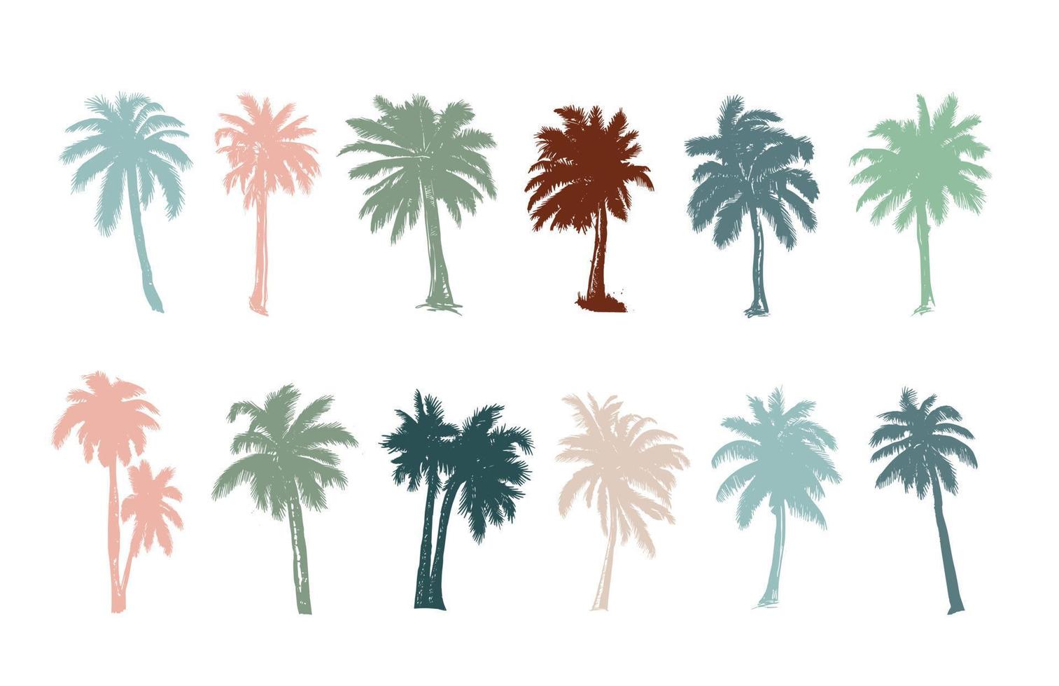 palma, hola verano, ilustraciones dibujadas a mano, vector