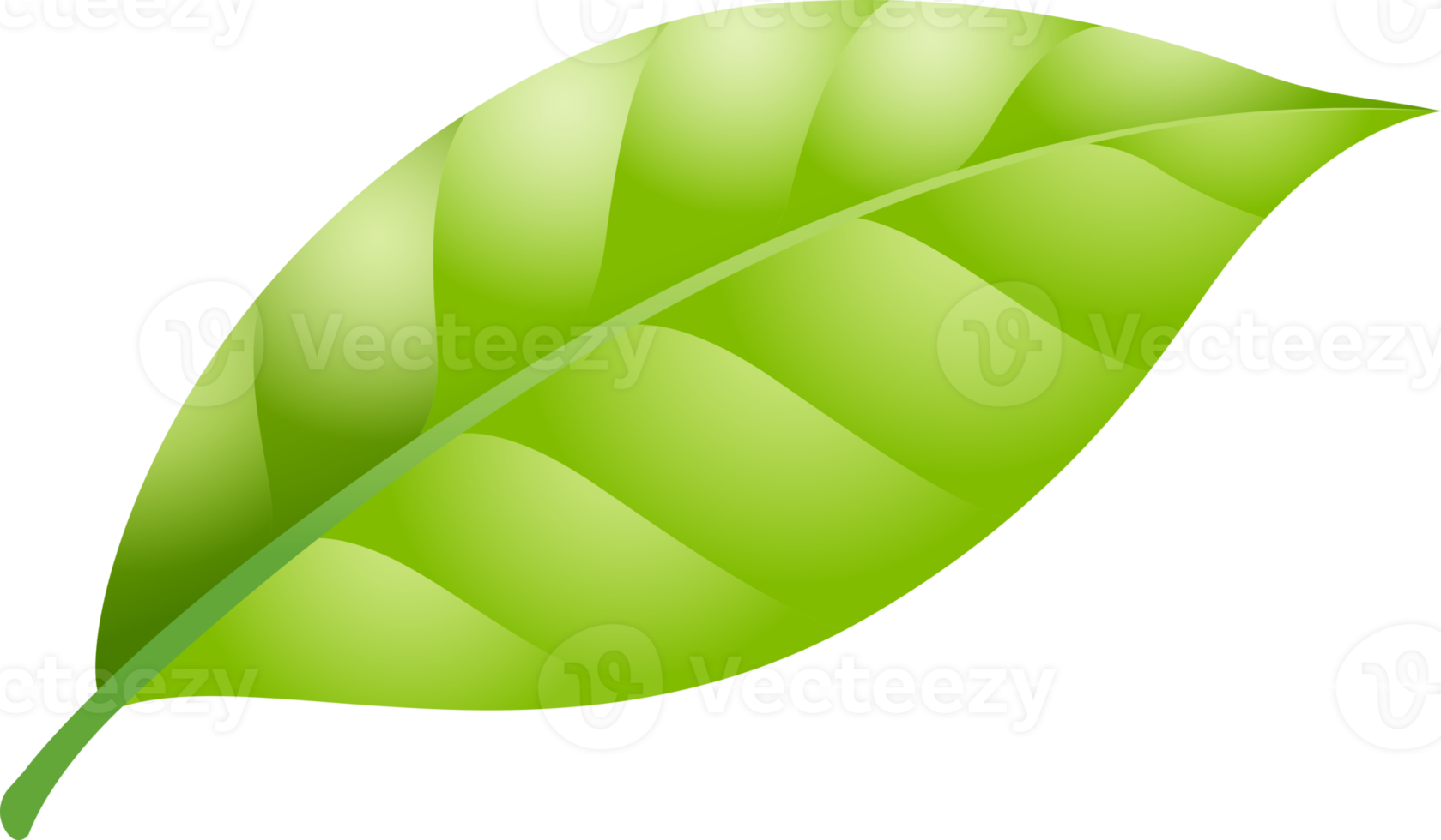 green leaf symbol png