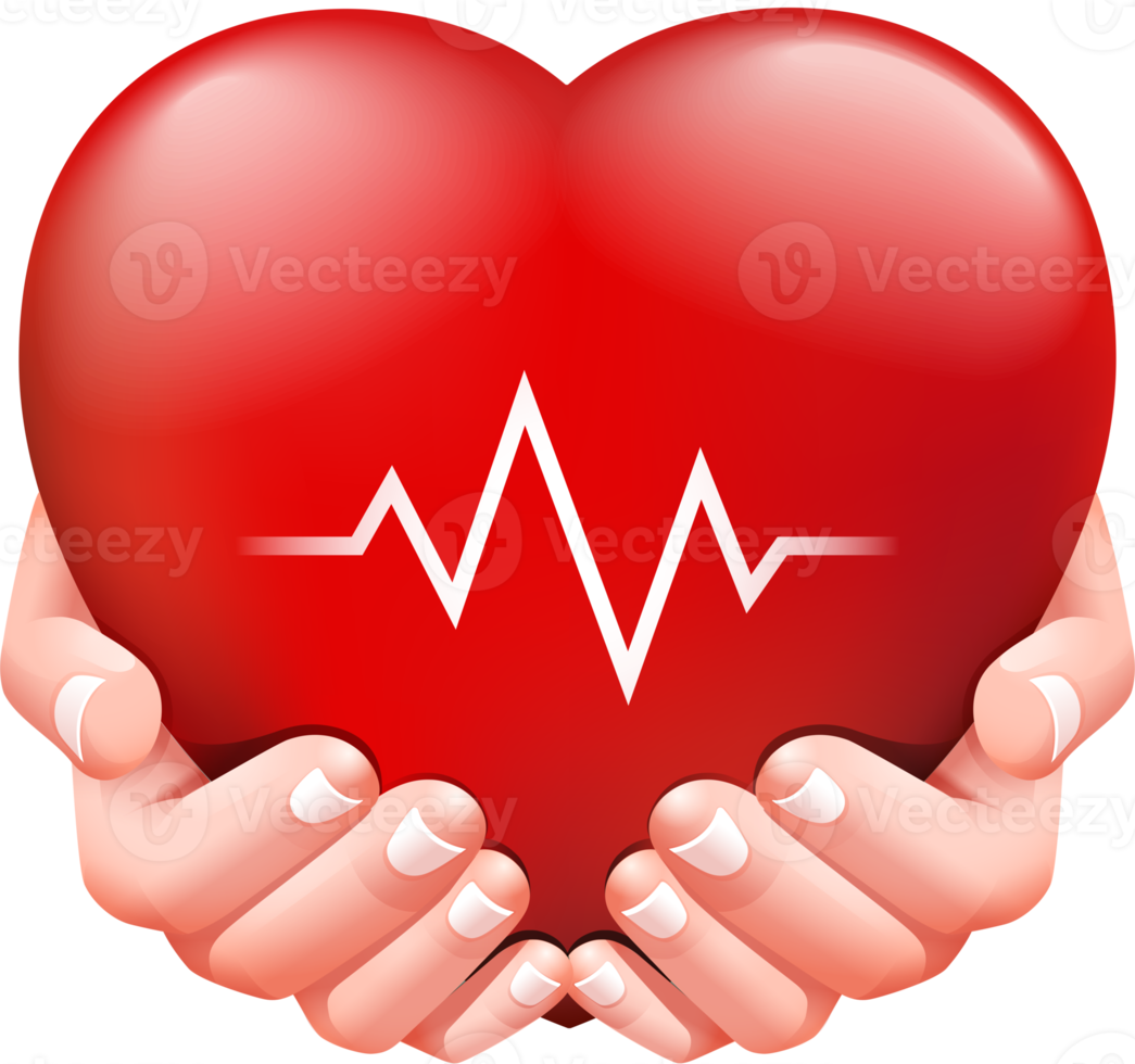 Two hands and red heart png