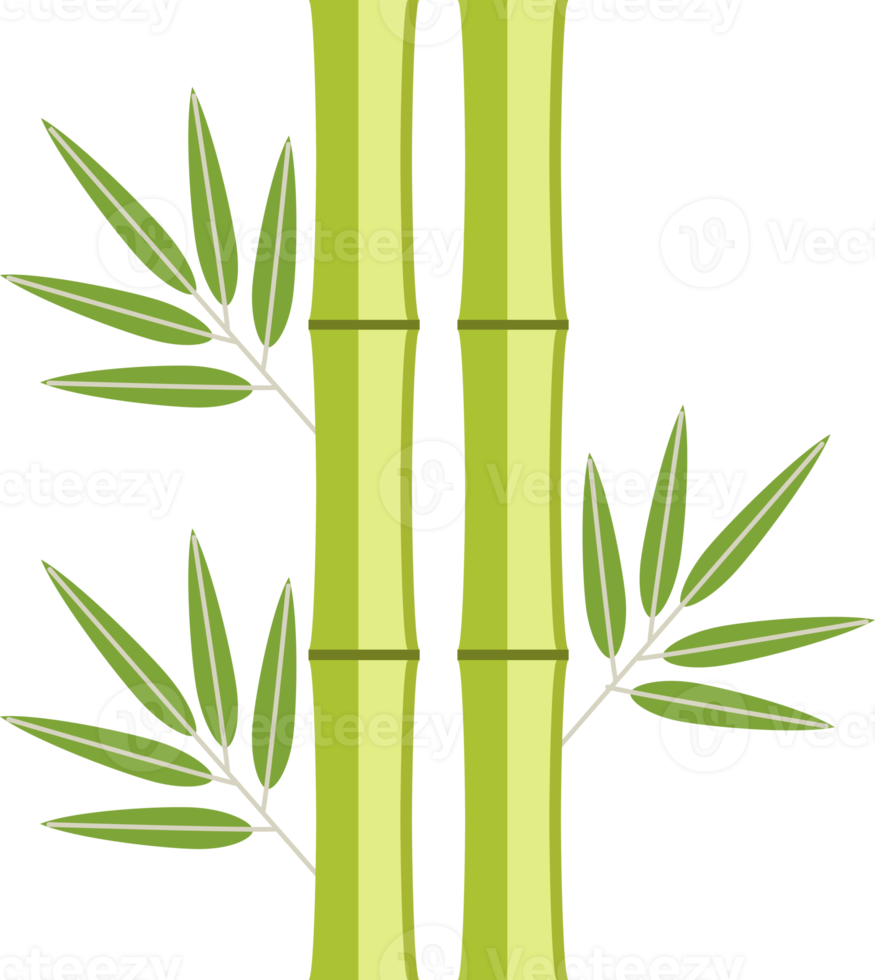 icône de bambou vert png