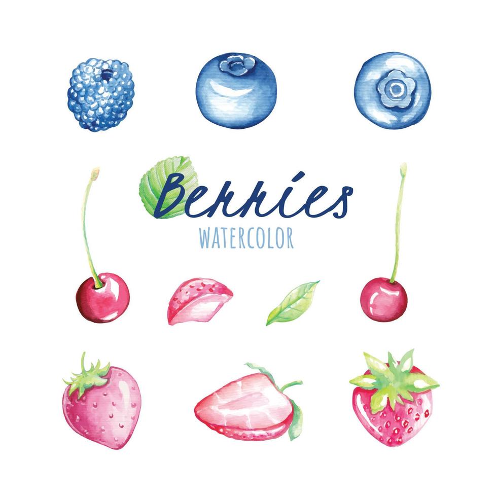 set of berries vector