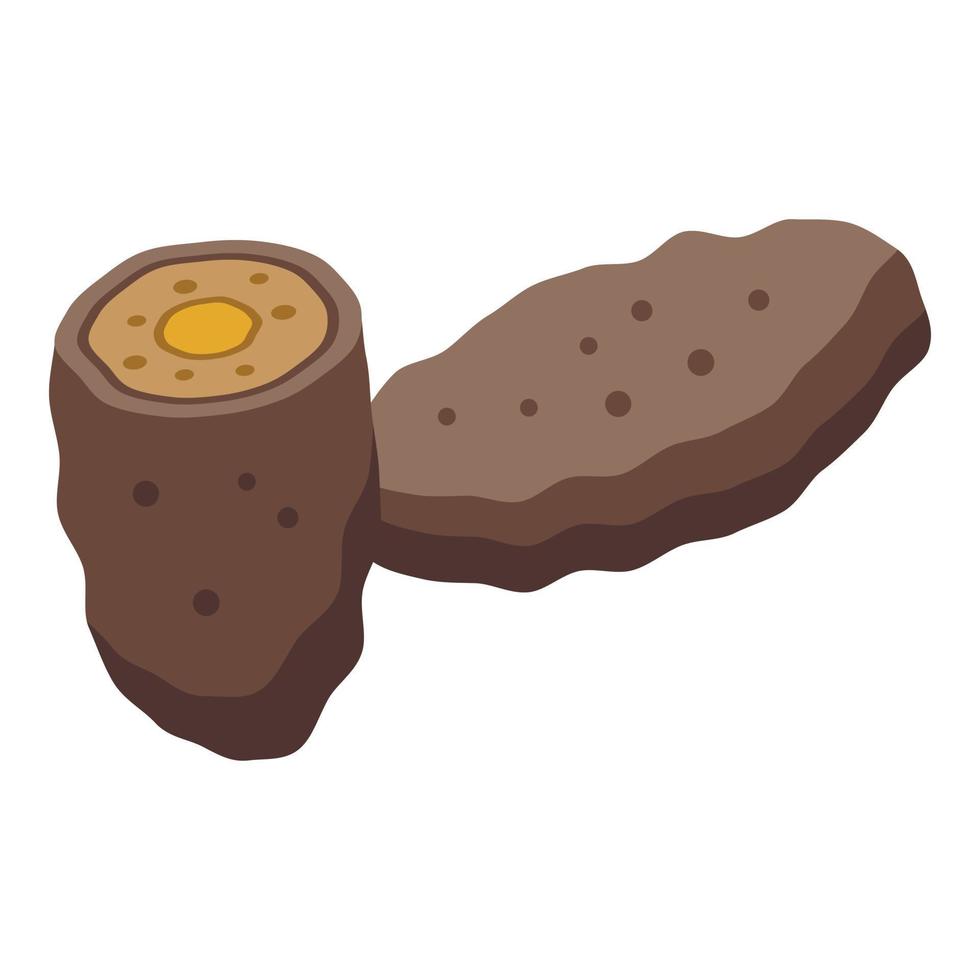 Potato meat roll icon isometric vector. Cheese food vector