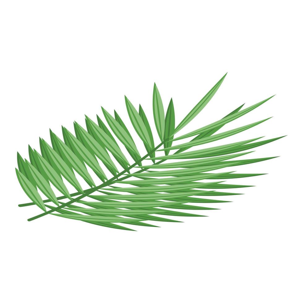 Palm leaf icon isometric vector. Oil food vector