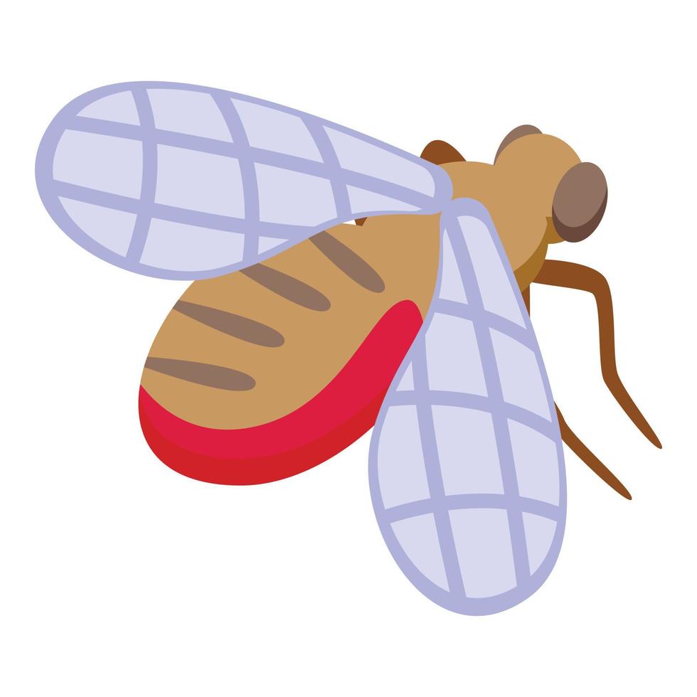 Tsetse housefly icon isometric vector. Fly insect vector