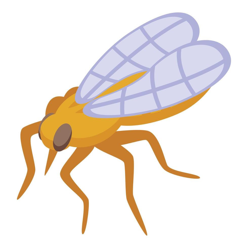 House tsetse icon isometric vector. Fly insect vector