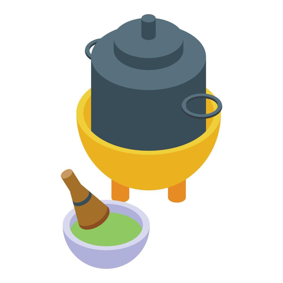 Chinese food icon isometric vector. Sakura travel vector