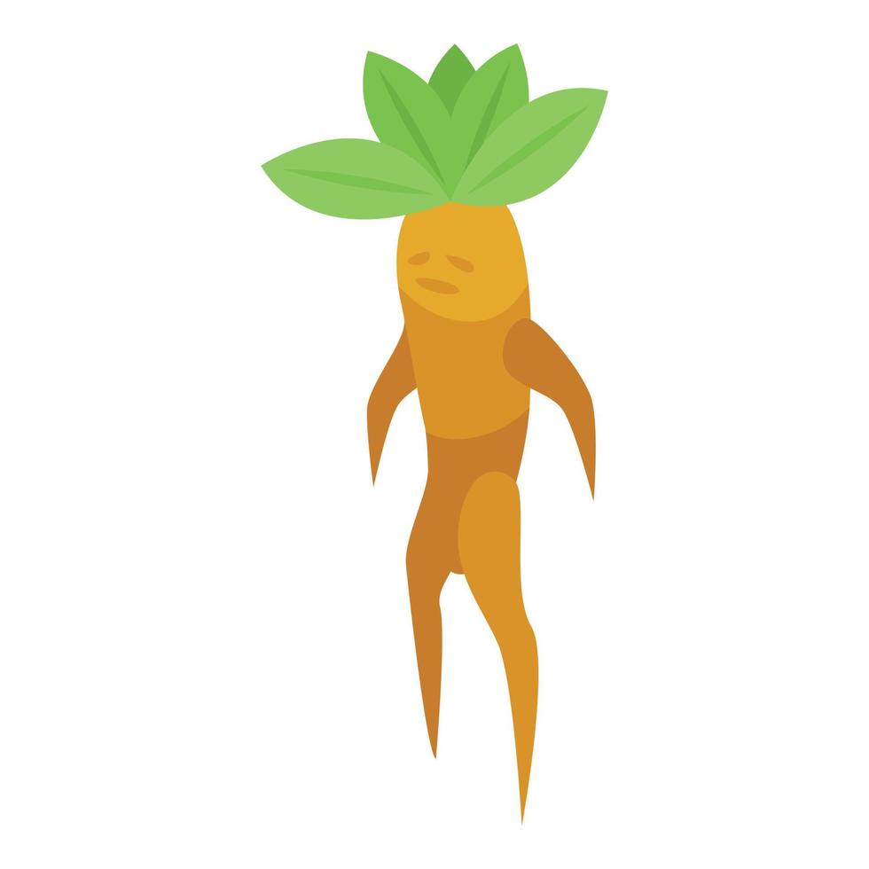 Mandrake icon isometric vector. Green leaf vector