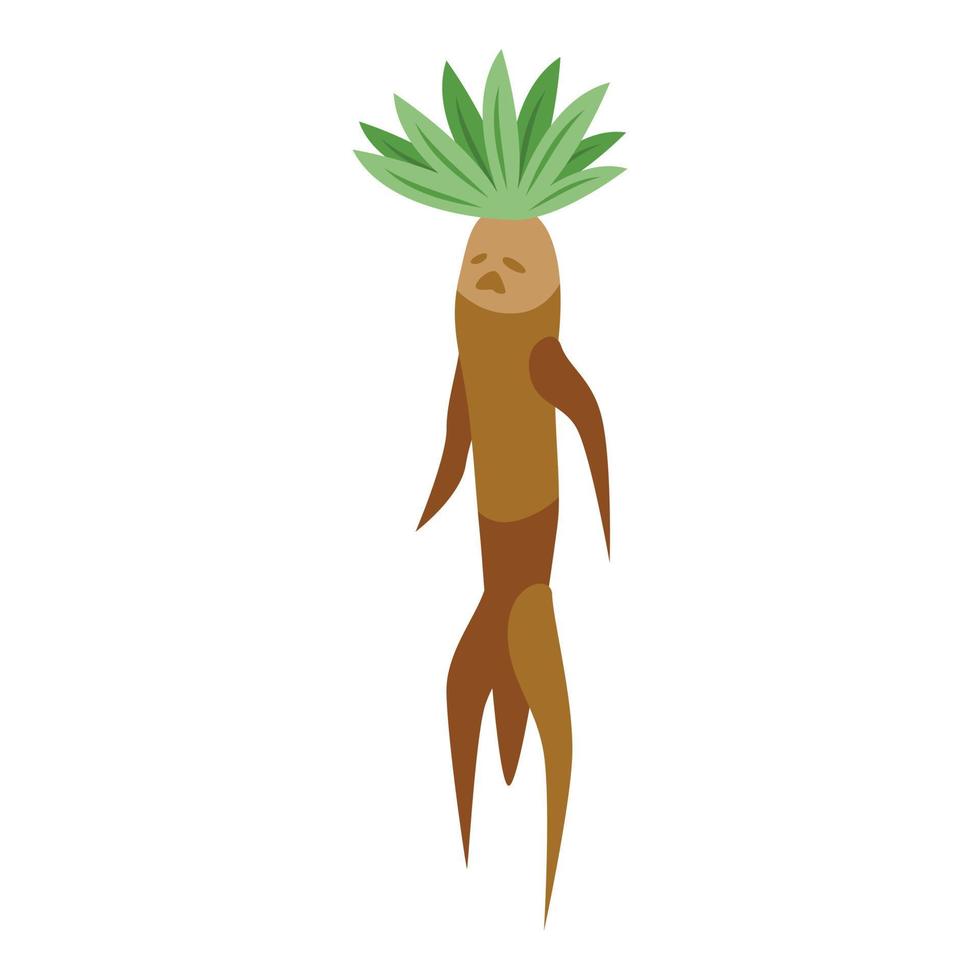 Mandrake plant icon isometric vector. Green leaf vector