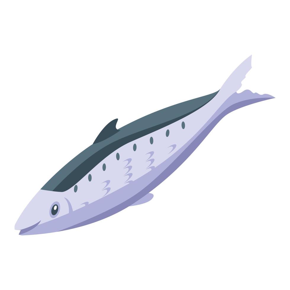 Herring icon isometric vector. Fish sardine vector