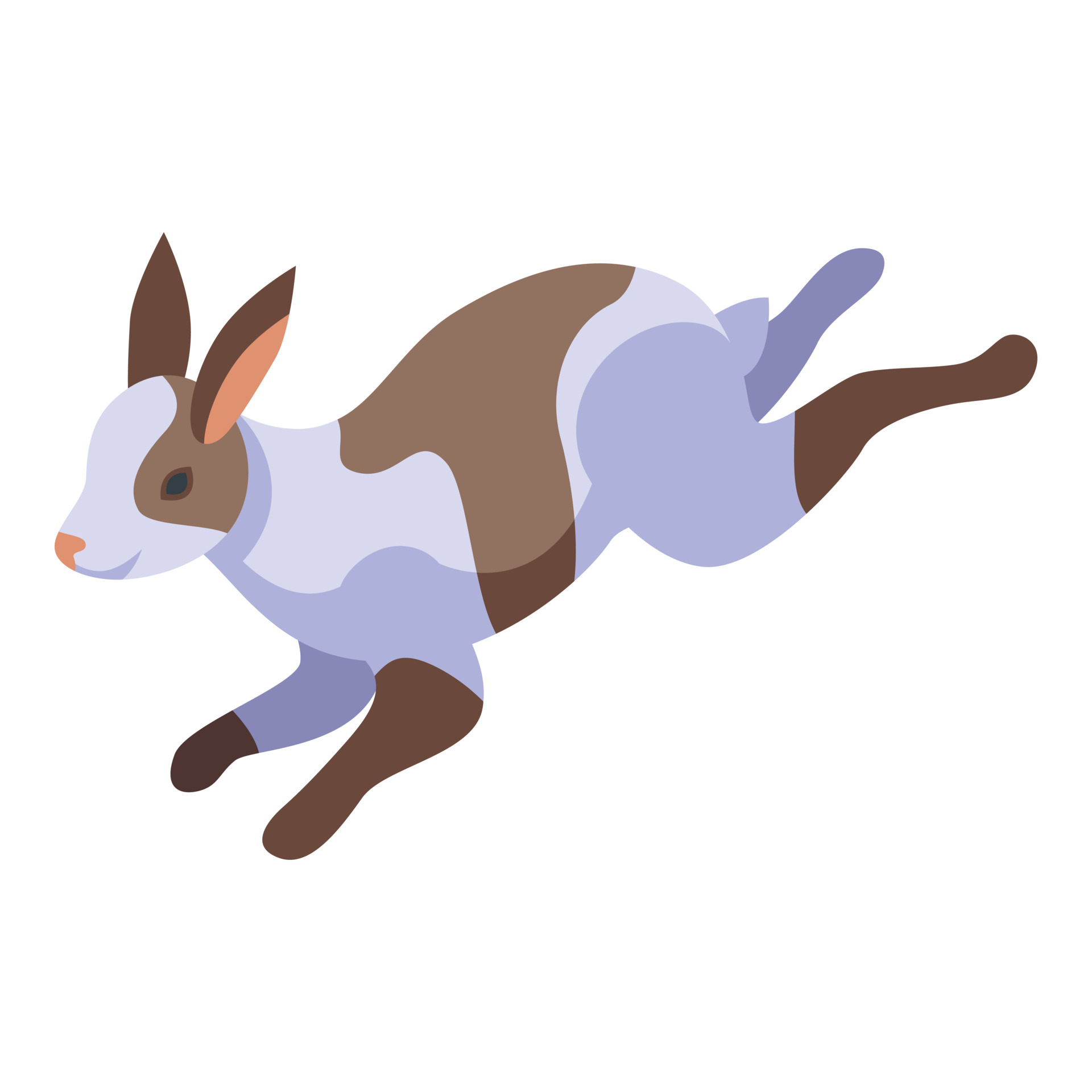 Running rabbit icon isometric vector. Dutch pet 19053269 Vector Art at Vecteezy Running rabbit icon isometric vector. Dutch pet 19053269 Vector Art at Vecteezy