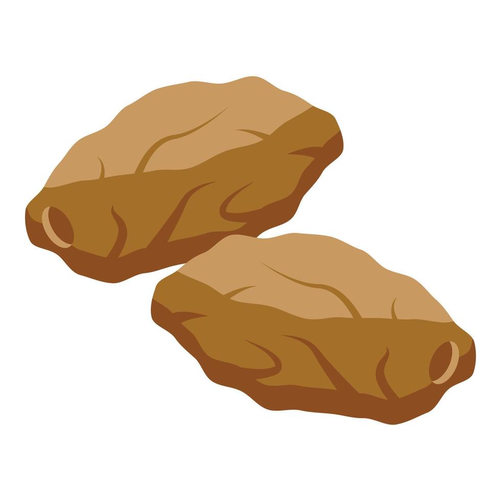 Sweet dry food icon isometric vector. Fruit date vector