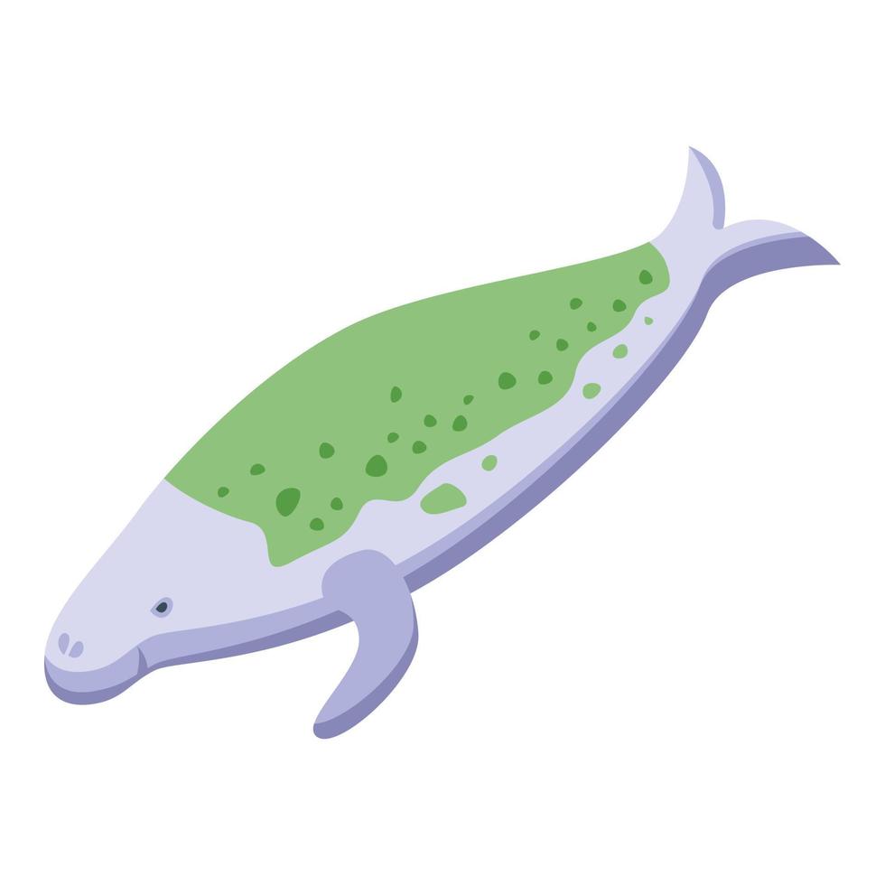 Sick dugong icon isometric vector. Sea mammal vector