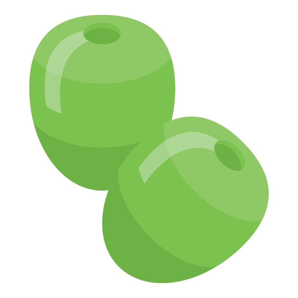 Green date fruit icon isometric vector. Palm food vector