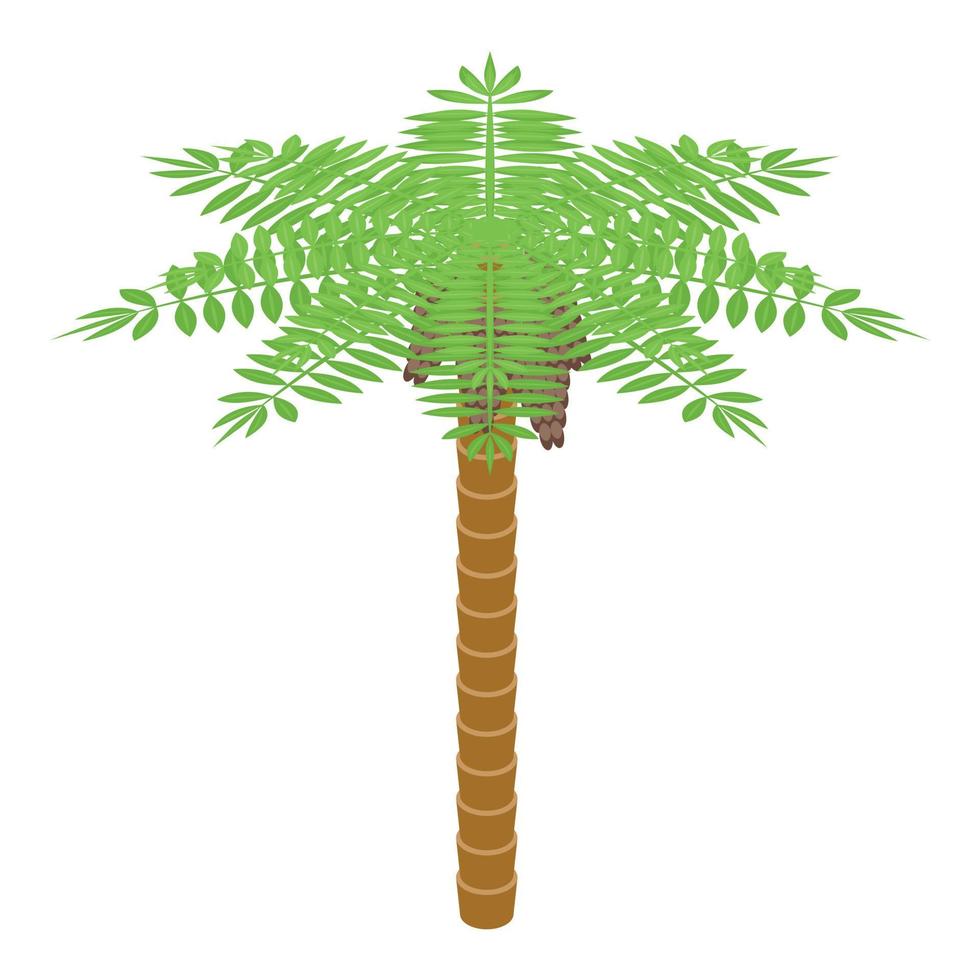 Date fruit palm tree icon isometric vector. Ramadan food vector