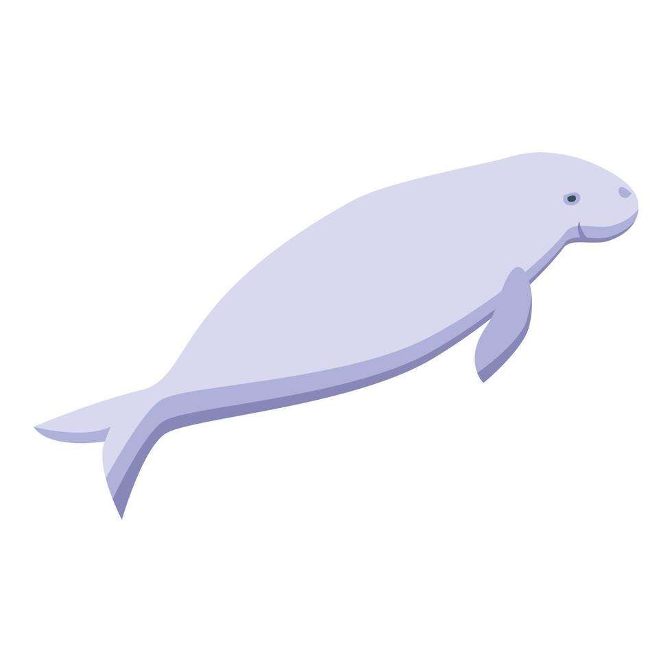 Aquatic mammal icon isometric vector. Sea manatee vector