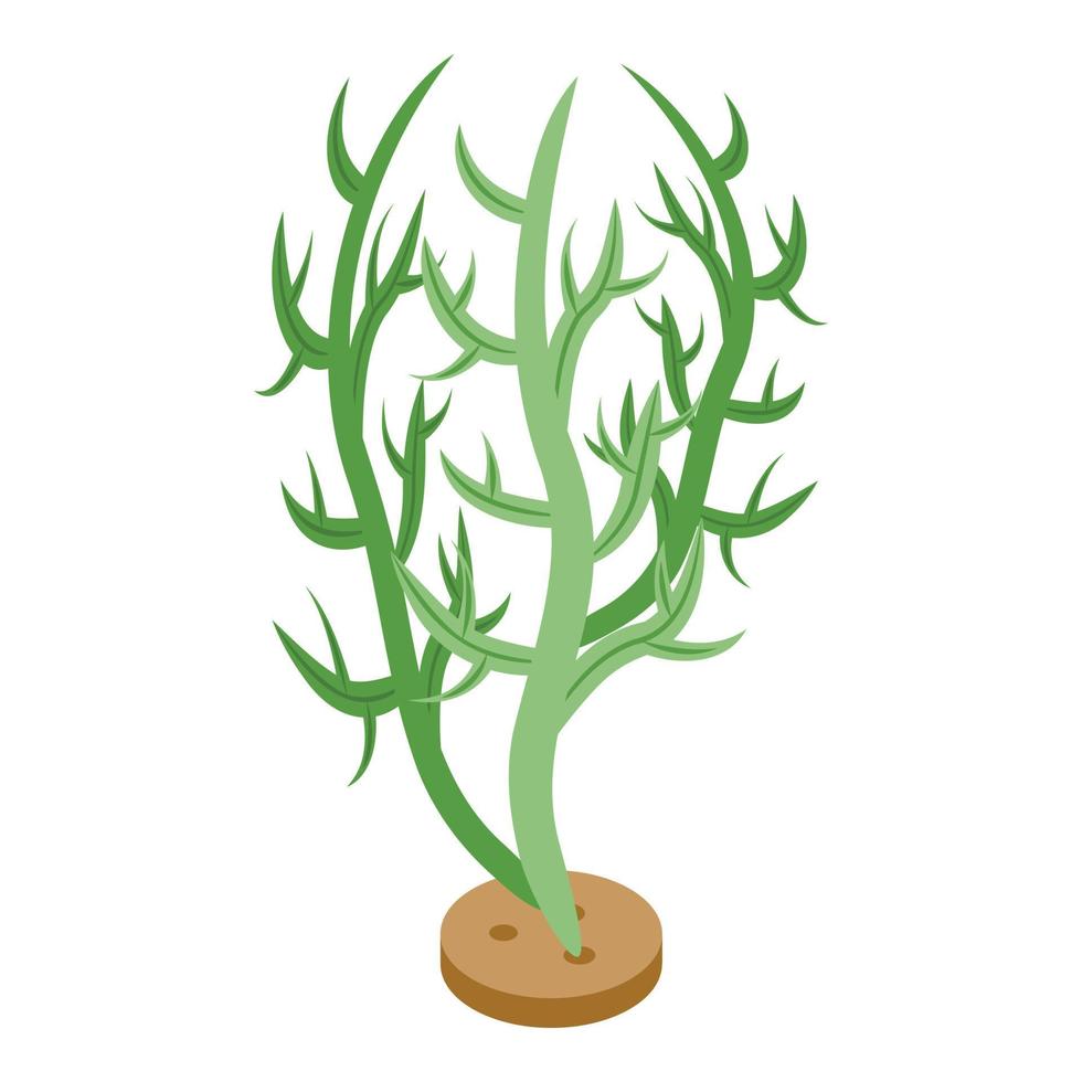 Ocean plant icon isometric vector. Sea flower vector