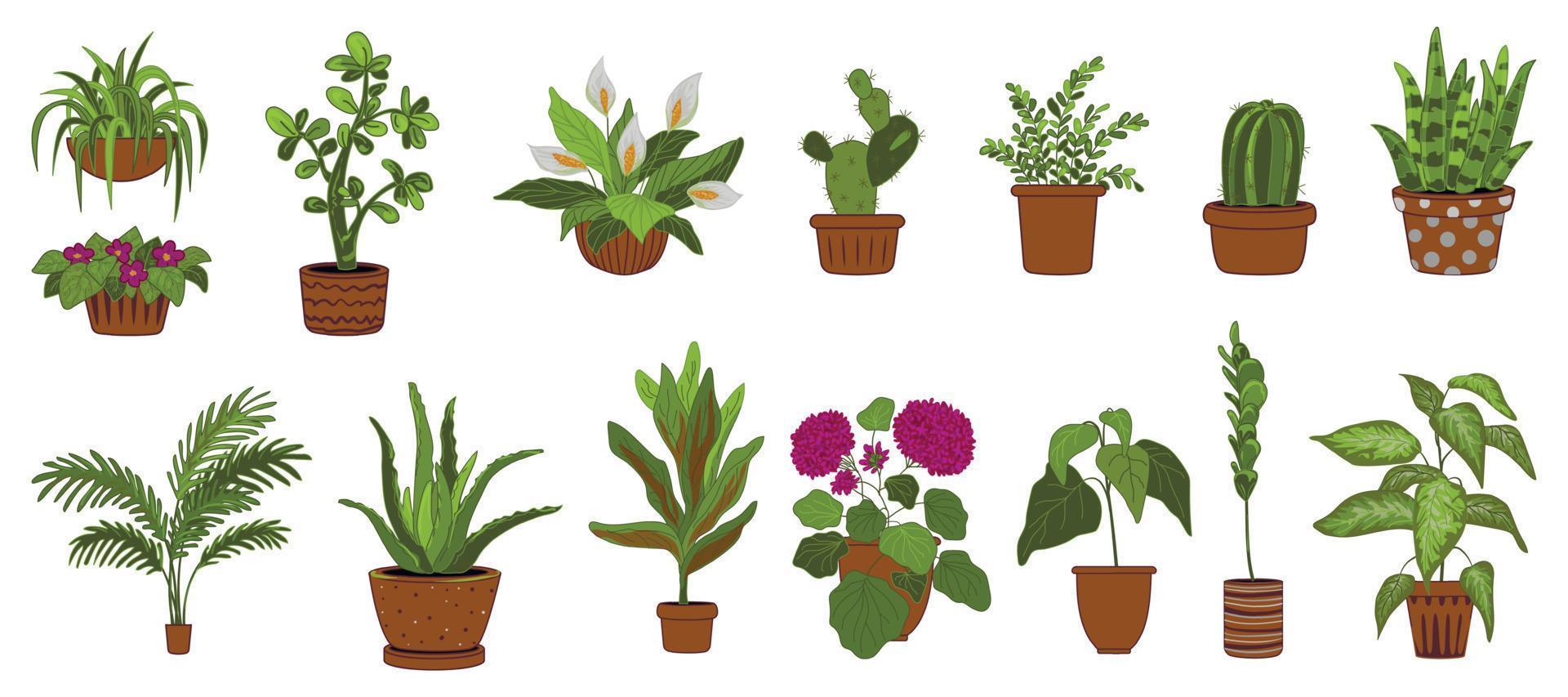 los iconos de las plantas domésticas establecen el vector de dibujos animados. maceta