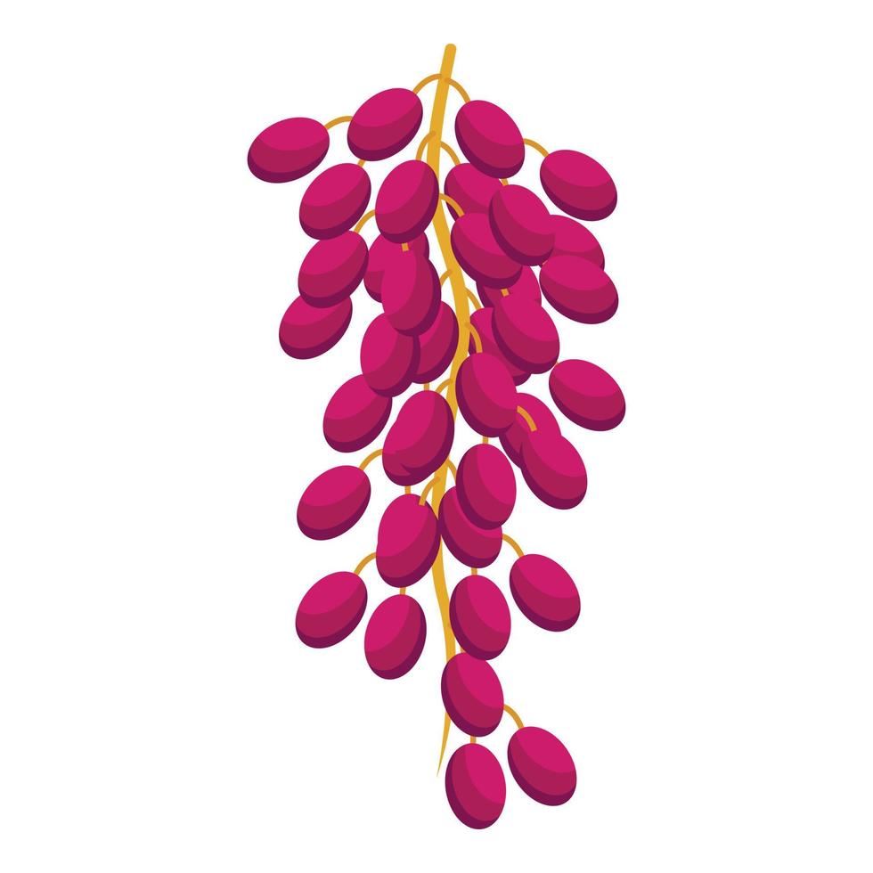 vector isométrico del icono de la fruta de la fecha de las uvas. palma de comida
