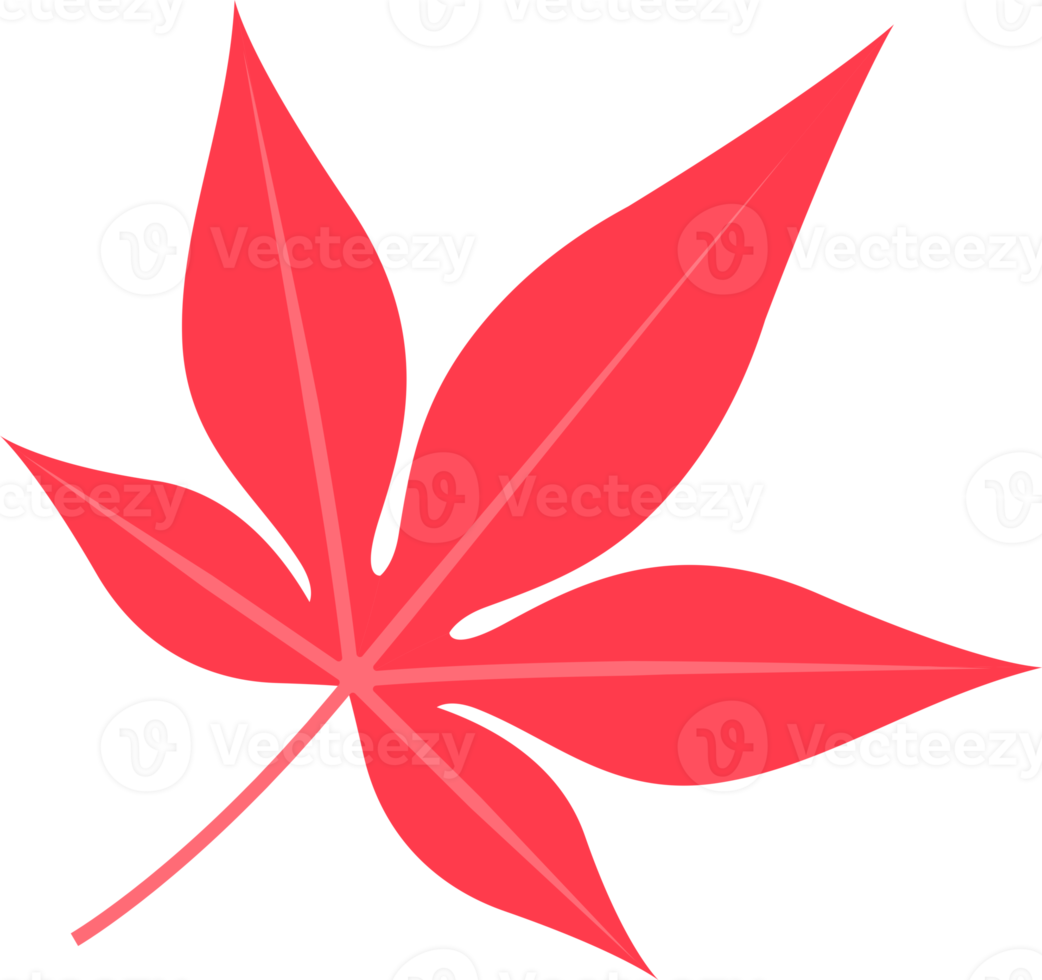 red maple leaf png