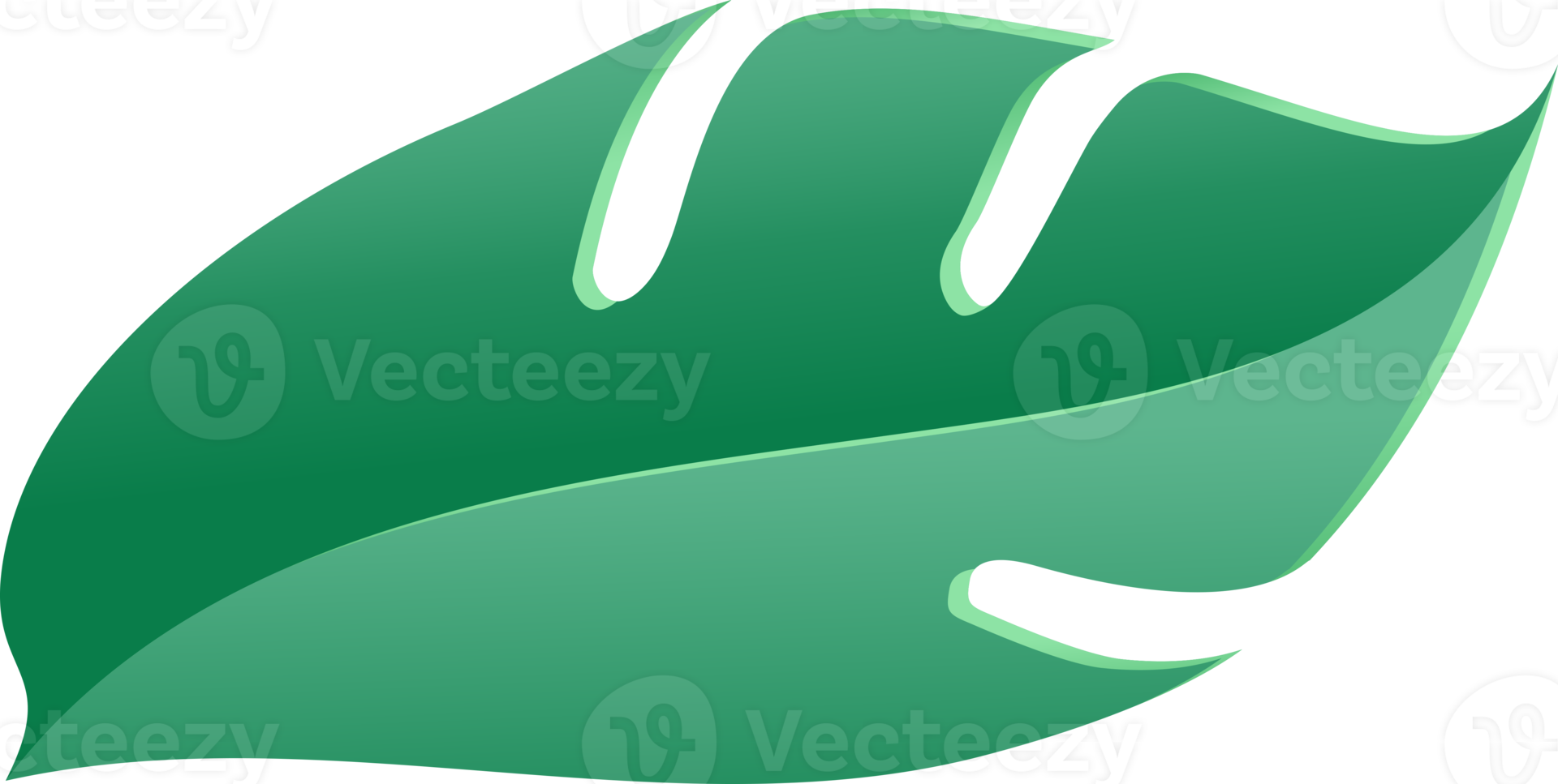 monstera leaf green color png