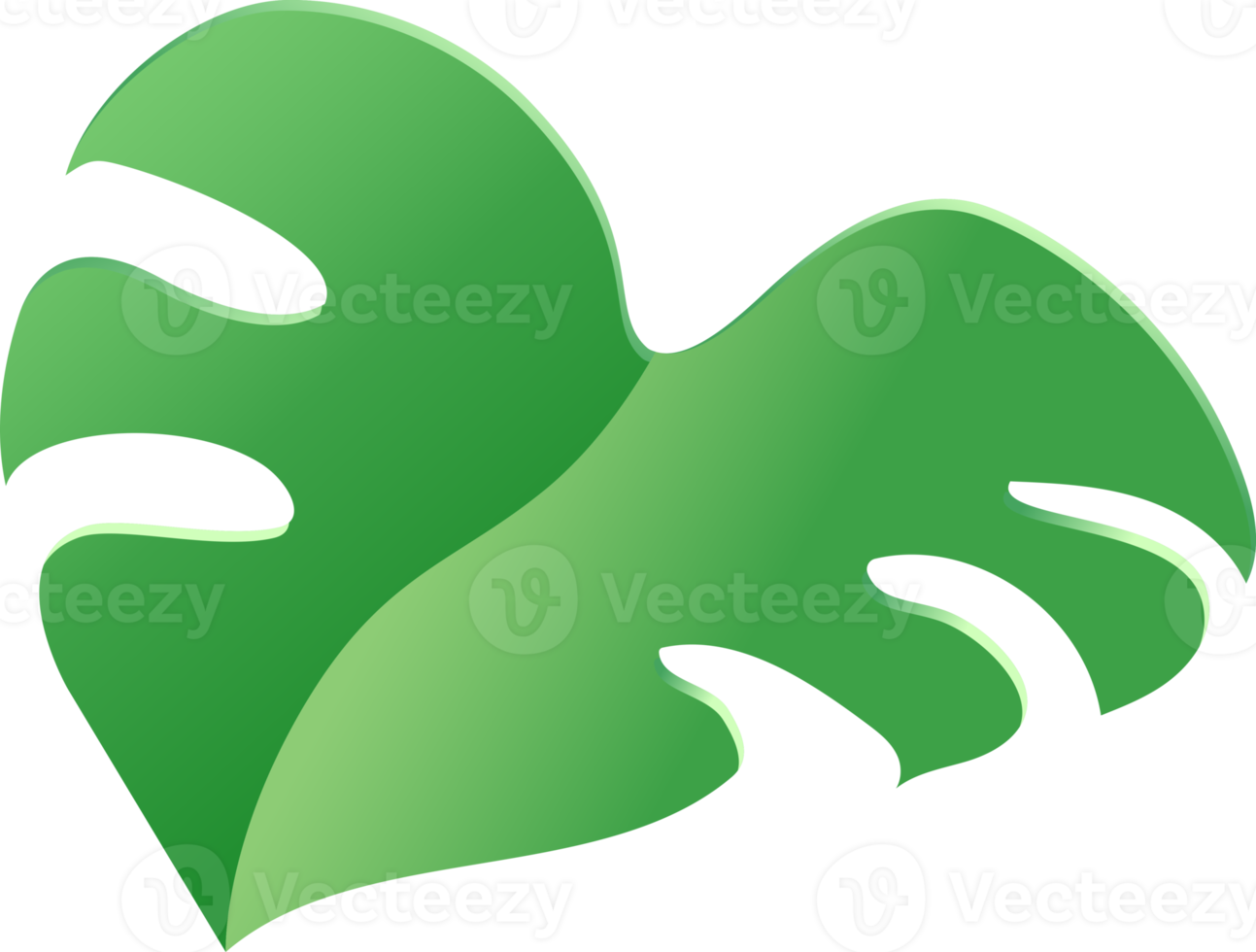 monstera leaf green color png