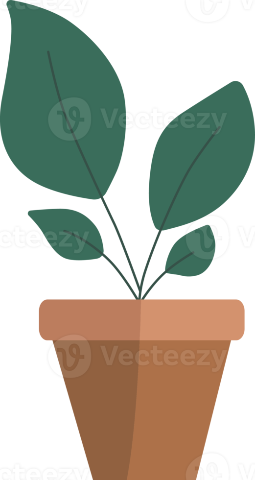 Plants in potted. png