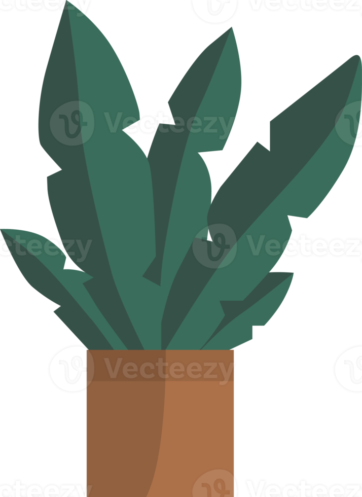 Green plants in pots. png