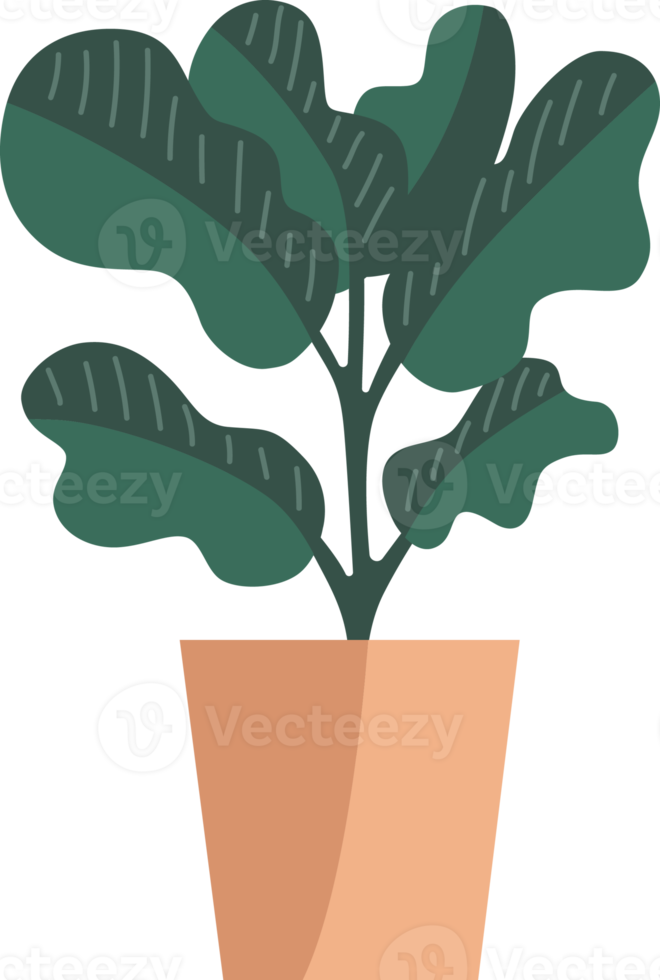 plantas en macetas de estilo minimalista. png