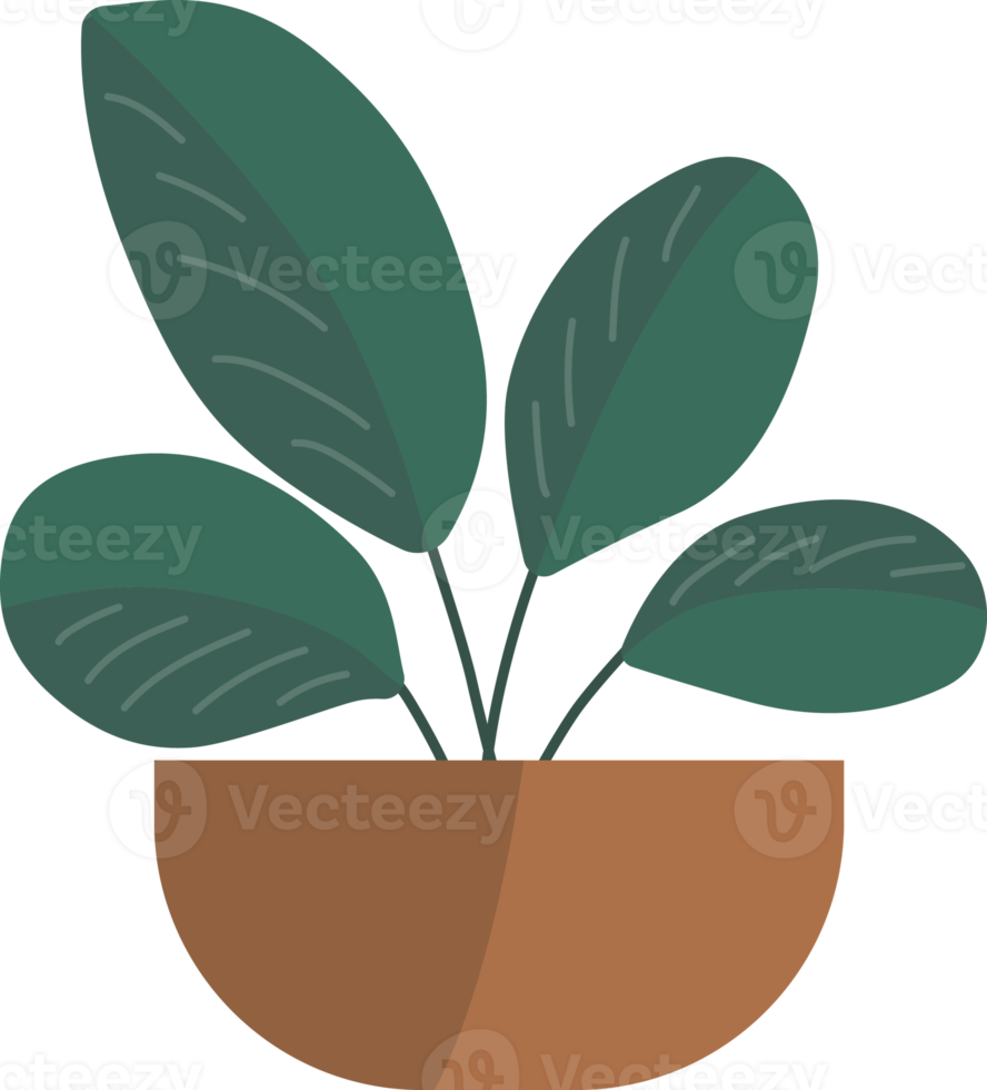 pequenas plantas em vasos. png